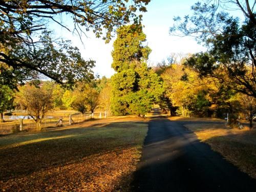 Outdoor Pictures 22