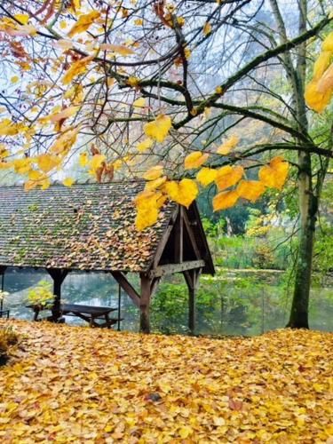 Outdoor Pictures 23