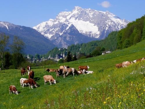 Outdoor Pictures 22