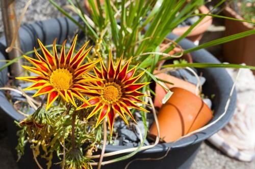 Outdoor Pictures 23