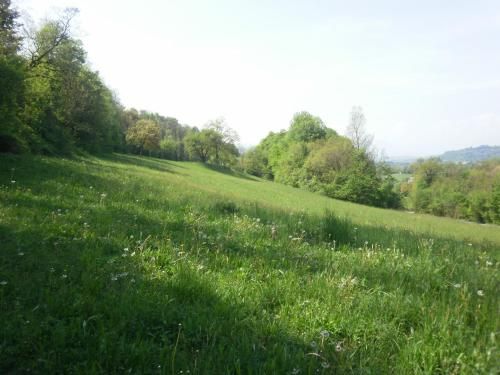 Outdoor Pictures 22