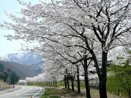 Outdoor Pictures 21
