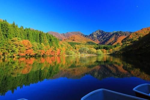 Outdoor Pictures 20