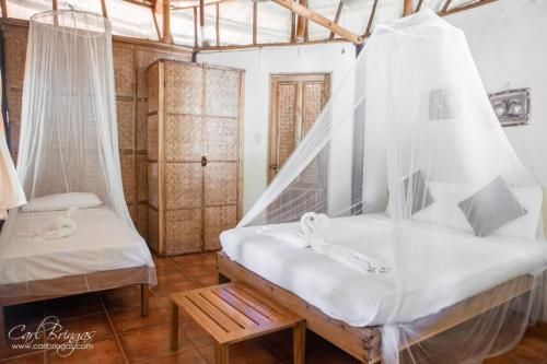 Cashew Grove Beach Resort