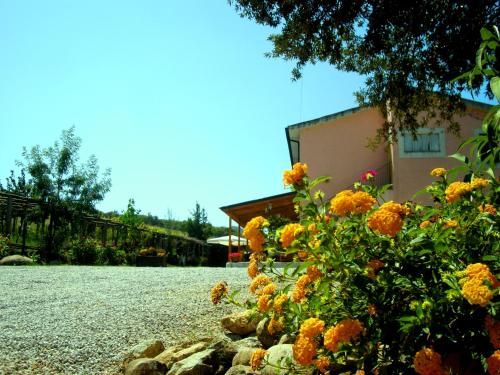 Outdoor Pictures 21