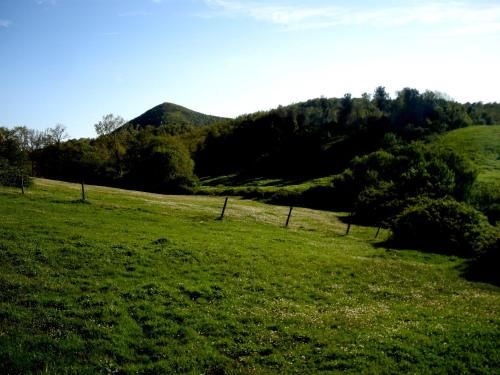 Outdoor Pictures 24