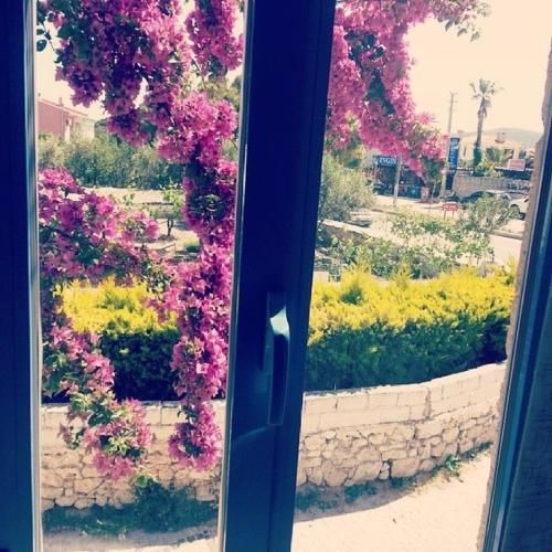 Outdoor Pictures 22