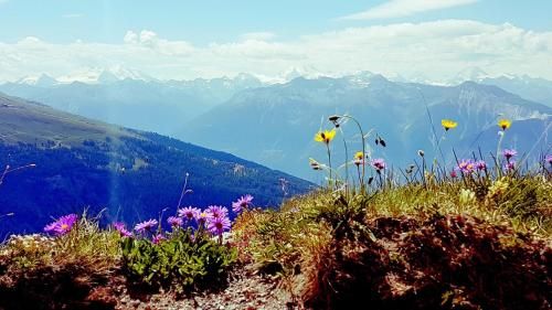 Outdoor Pictures 21