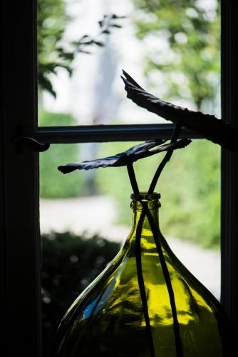 Outdoor Pictures 22