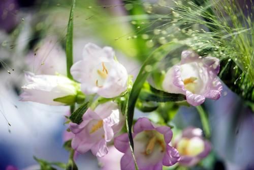 Outdoor Pictures 24