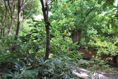 Outdoor Pictures 21