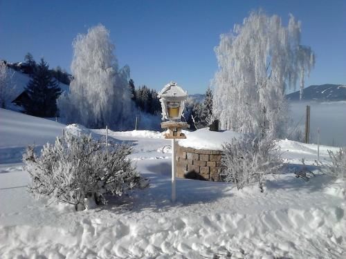 Outdoor Pictures 24