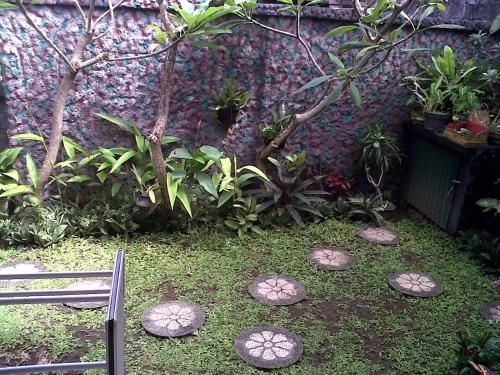 Outdoor Pictures 6