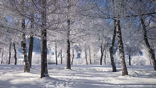 Outdoor Pictures 21