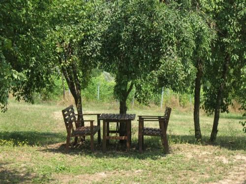 Outdoor Pictures 12
