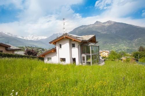 Outdoor Pictures 20