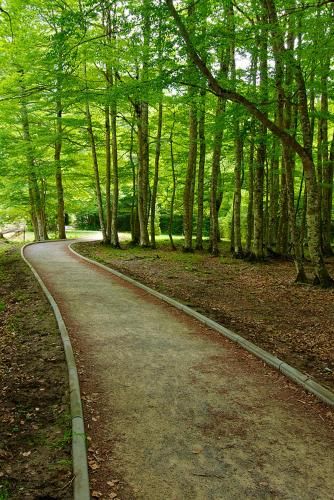 Outdoor Pictures 22