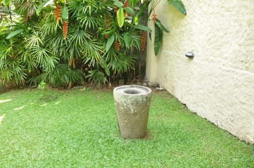 Outdoor Pictures 22