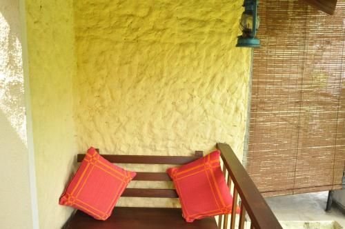 Outdoor Pictures 10