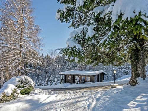 Outdoor Pictures 23