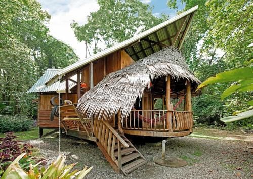 Tree House Lodge