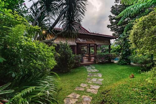 Outdoor Pictures 24