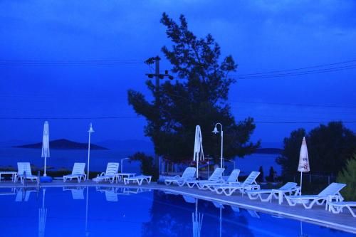 Outdoor Pictures 21
