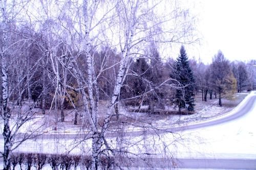 Outdoor Pictures 23