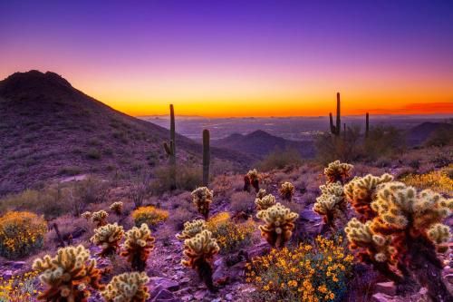 Outdoor Pictures 22