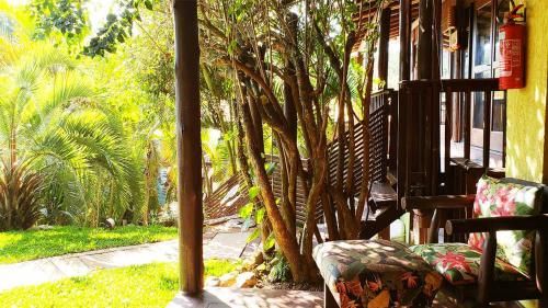 Outdoor Pictures 24