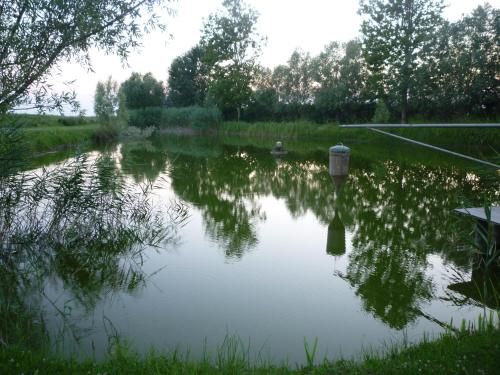 Outdoor Pictures 20