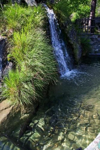 Outdoor Pictures 21