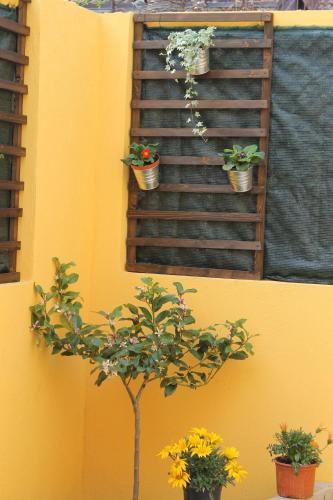 Outdoor Pictures 20