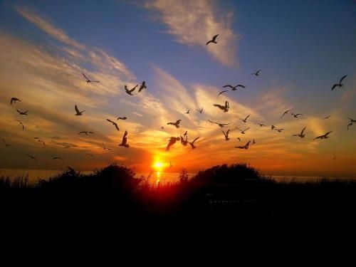 Outdoor Pictures 22