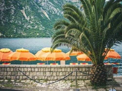 Outdoor Pictures 23