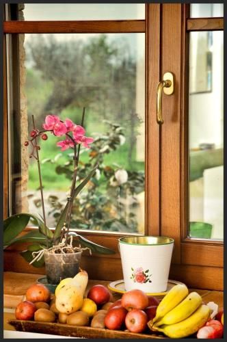 Outdoor Pictures 15