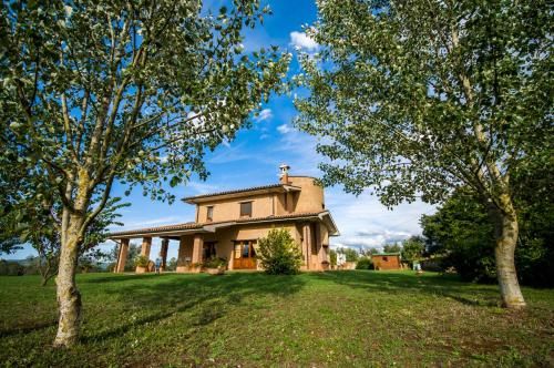 Outdoor Pictures 24