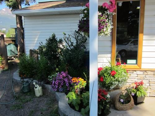 Outdoor Pictures 22
