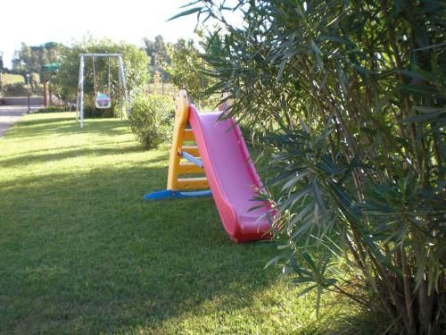 Outdoor Pictures 17