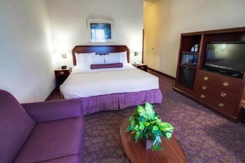 Ashmore Inn and Suites Amarillo