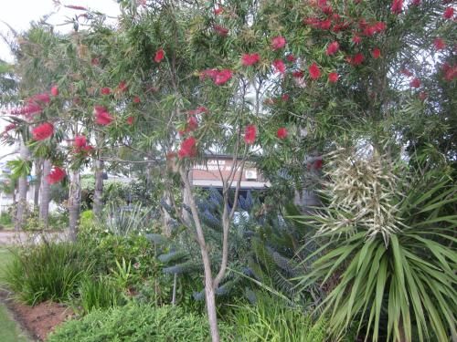 Outdoor Pictures 19