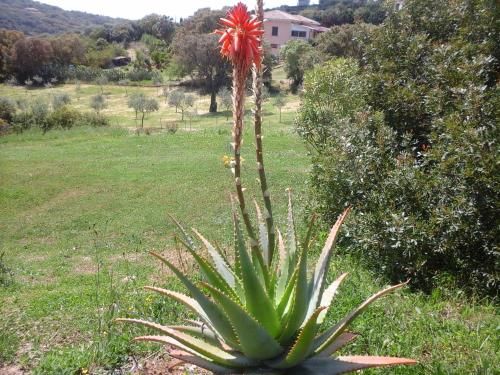 Outdoor Pictures 18