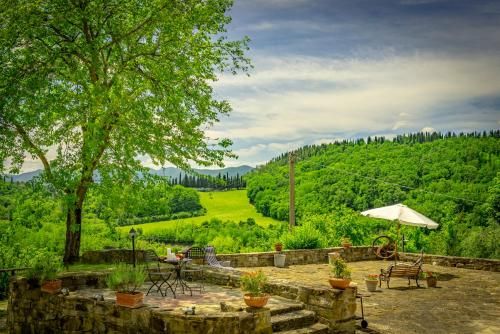 Outdoor Pictures 21