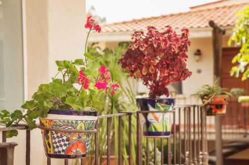 Outdoor Pictures 21