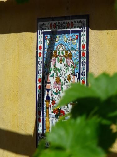 Outdoor Pictures 15