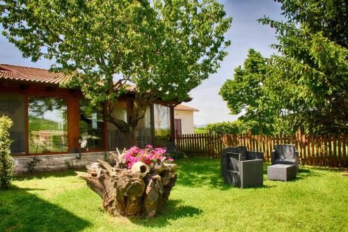 Outdoor Pictures 22