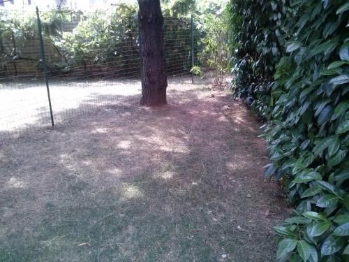 Outdoor Pictures 22