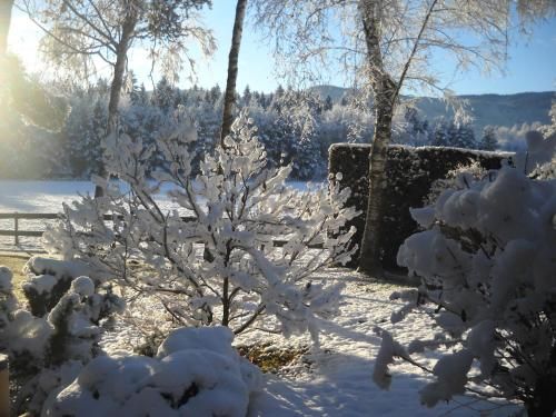 Outdoor Pictures 22