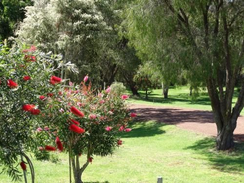 Outdoor Pictures 21