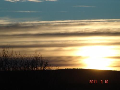 Outdoor Pictures 21